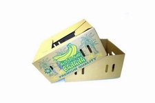 corrugated carton box for fruit