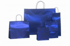 shopping paper bag